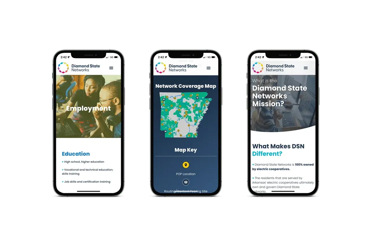 The Diamond State Networks website on phones
